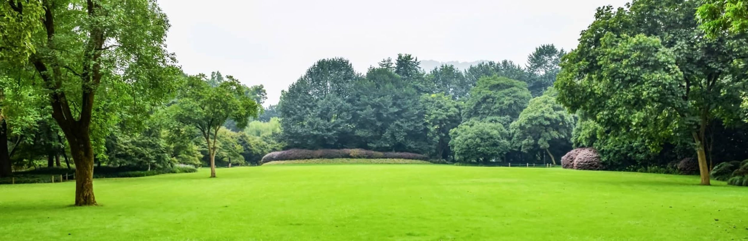 park with lush green trees and grass