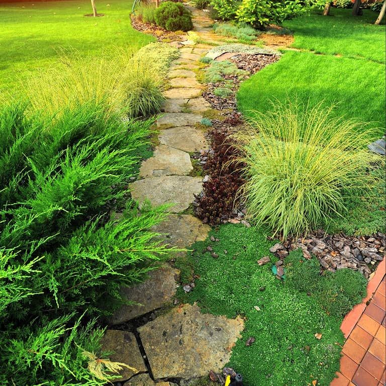 Stone pathway leading through a well-maintained landscape with vibrant green ferns and grass.