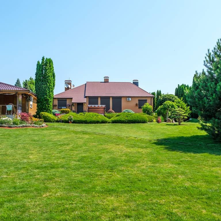 Expansive green lawn with trees and shrubs surrounding a suburban home under a bright blue sky.